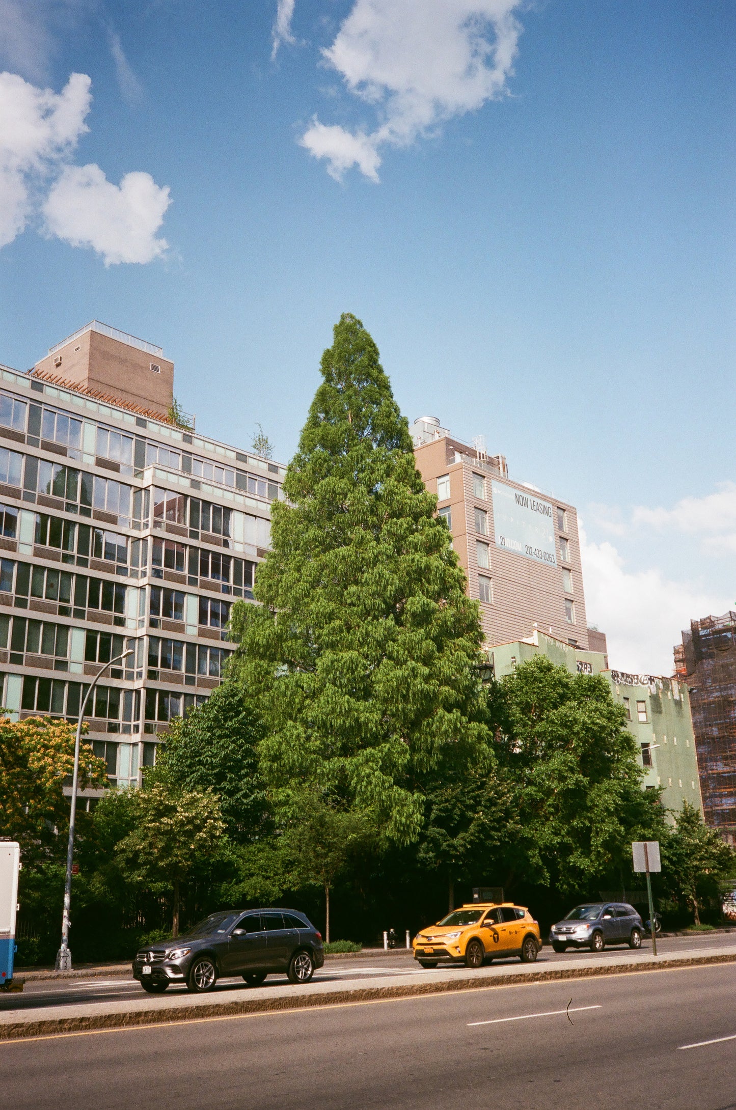 Untitled (NYC) III, 2022