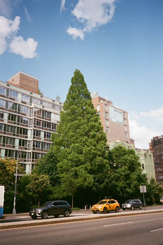 Untitled (NYC) III, 2022