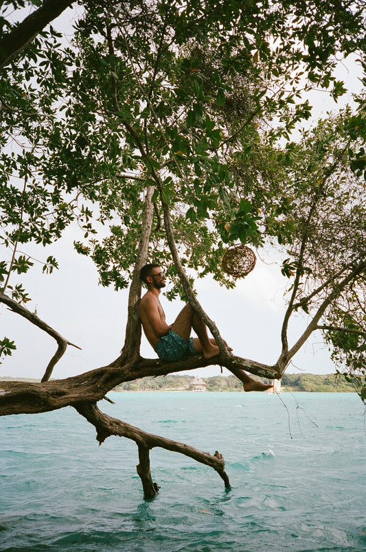 Untitled (Bacalar Lagoon, Quintina Roo, Mexico) II, 2023