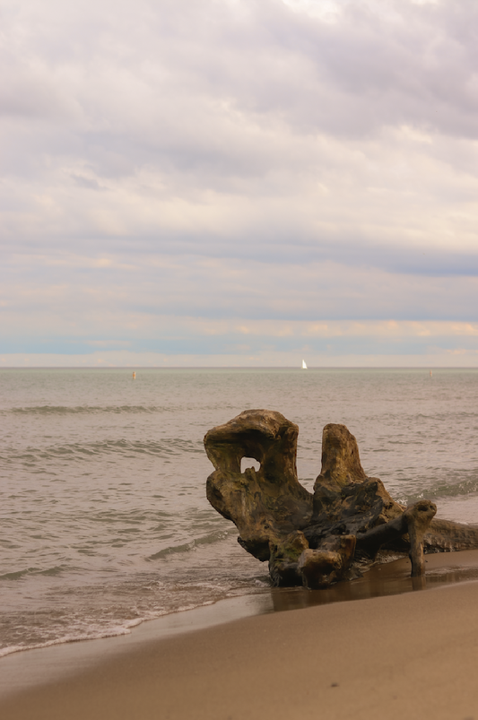 Calm Waters, 2023