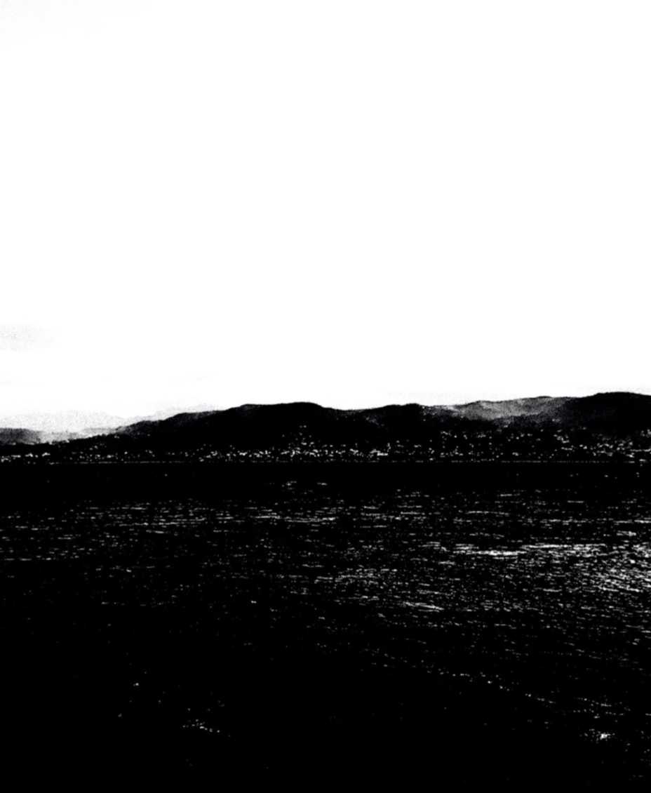 Untitled II, 2022