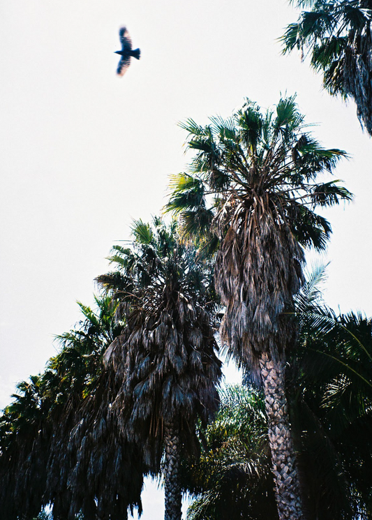 Untitled, 2020