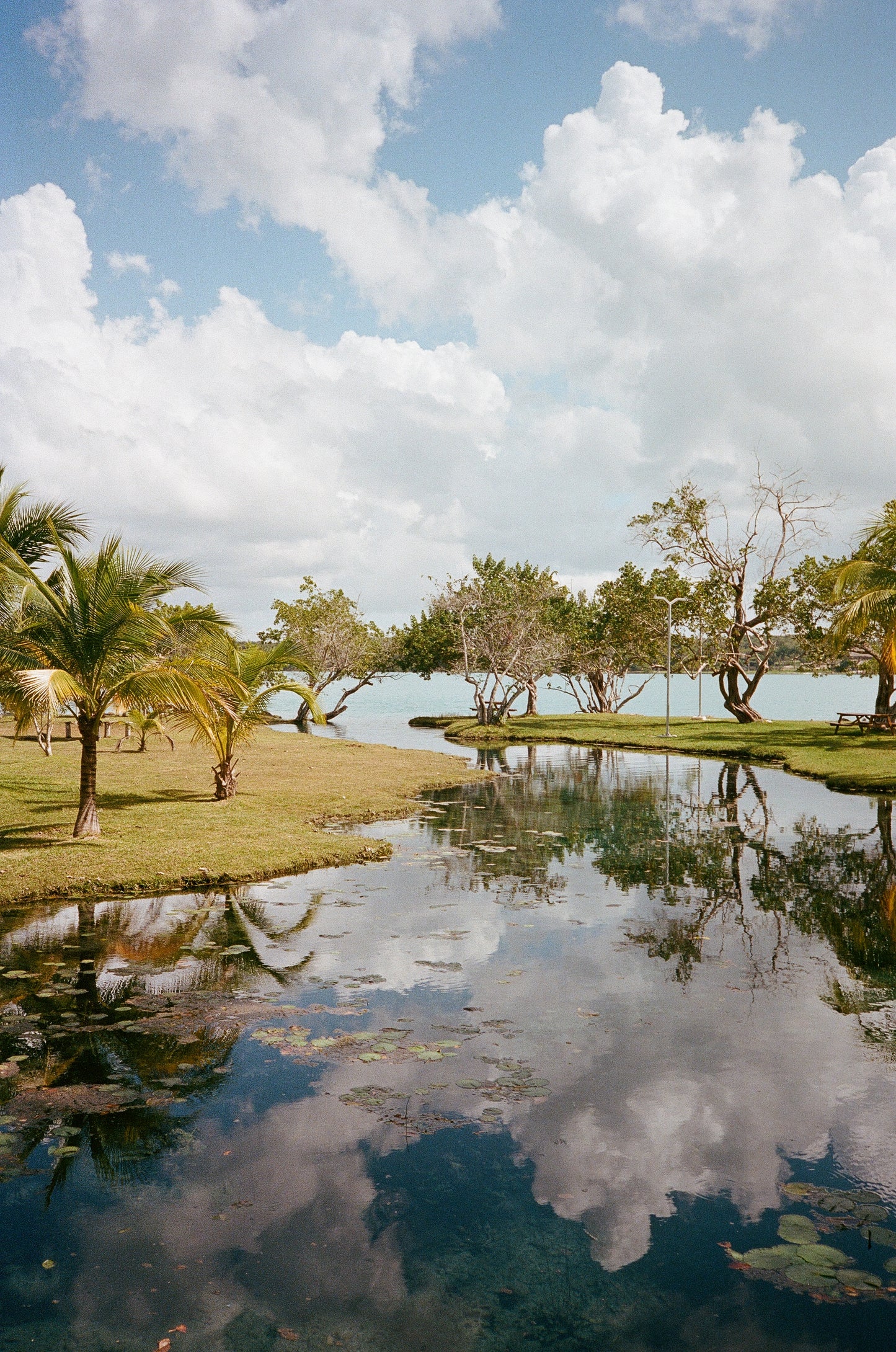 Untitled (Bacalar Lagoon, Quintina Roo, Mexico) I, 2023