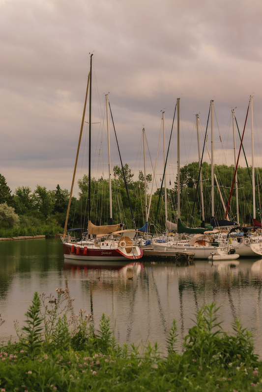 BY THE RIVER, 2023