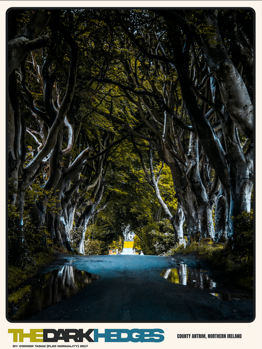 The Dark Hedges, 2017