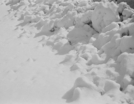 Snow Pile, 2023