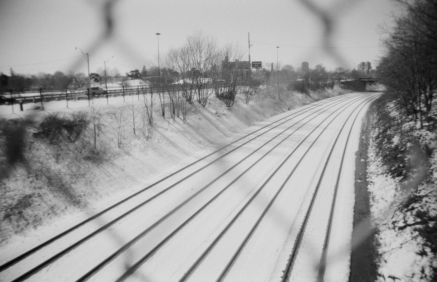 Winter Rails, 2023